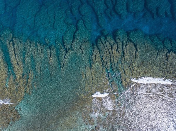 Comment organiser un événement de collecte de fonds réussi pour soutenir une cause qui vous tient à cœur ?